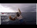       spearfishing in morocco  2021