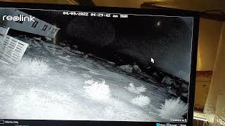 Strange Mega Orbs! Security Camera Footage