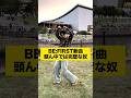 BE:FIRST新曲頭ん中では完璧な奴