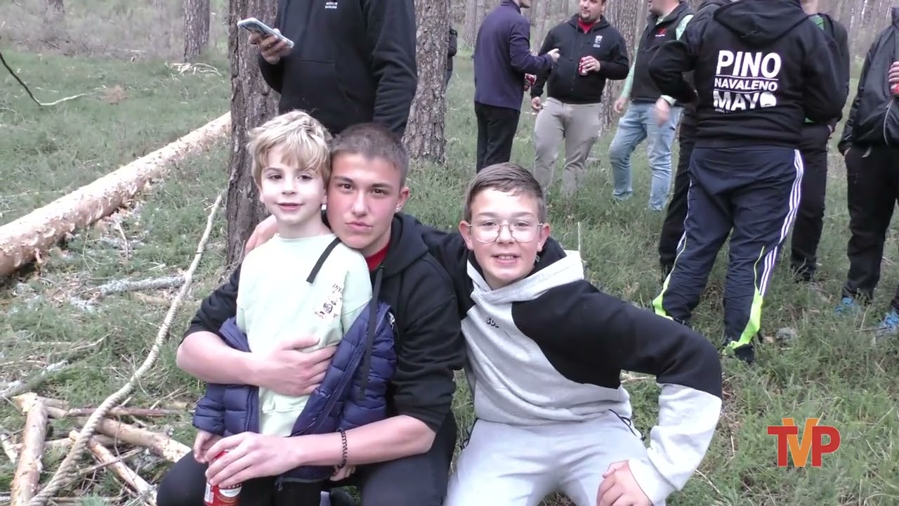 Traida Del Mayo - Navaleno 2024