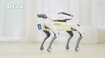 FACEGLE Smart Robot Dog with App Control, 12 Voice Commands, AI Programming Toy, USB Rechargeable