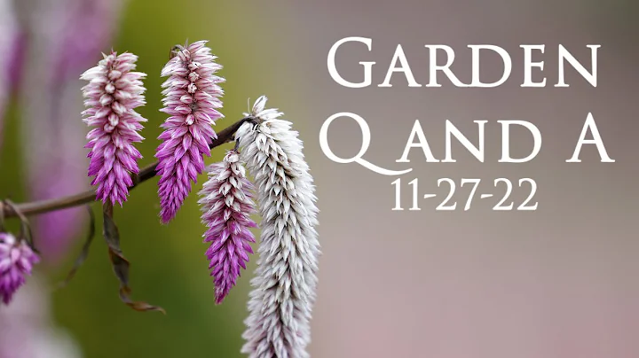 Great Garden and Landscape Q and A - Grafted Trees, Moisture Meter, Winter Containers - DayDayNews