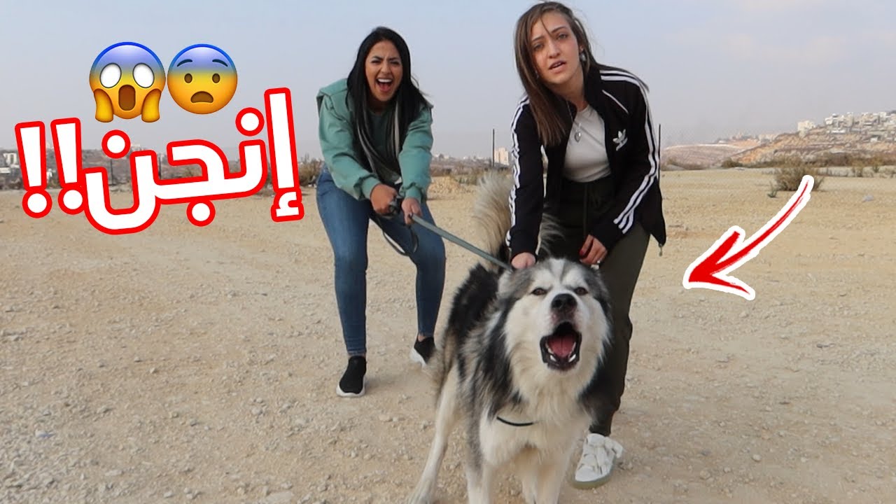 ضربت نانا في الشارع (كلبها هاجمنا 🐕😨!!)