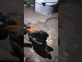 main ayam malem2 #ayam #ayambangkok #ayamberkualitas #ternak #ayamkampung #peternakmuda #shorts