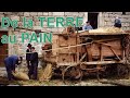 De la Terre au Pain  - Extrait