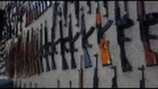 Gun Collection 2016