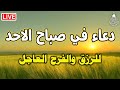 دعاء في صباح يوم الاحد للشيخ عبد الرحمن السديس لجلب الرزق والشفاء العاجل وقضاء الحوائج باذن الله 