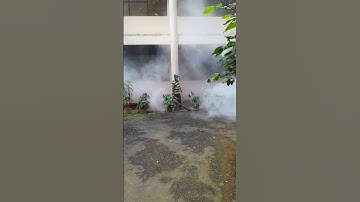 Fumigation for mosquitoes🦟🦟🦟