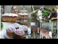 Куличи по-деревенски и не только 🧁🍰🥰🐄🤗