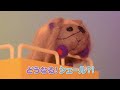 TVアニメ『PUI PUI モルカー DRIVING SCHOOL』第10話 あの子はだぁれ? 予告