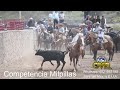 Competencia en Milpillas de La Sierra, Valparaiso