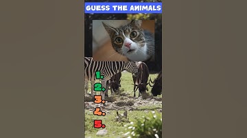 Animal Quiz Challenge! 🦁🐘 | Riddle of the day #animals #riddles #shorts