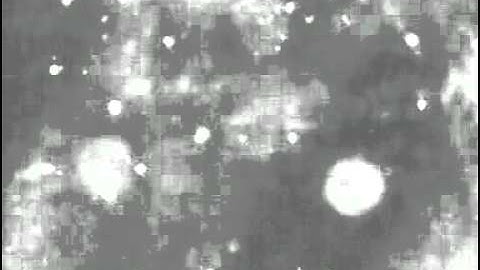 Canty Water Inspection