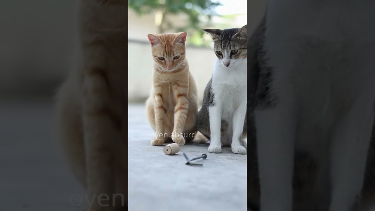 What's REALLY Going On with Oyen's Latest Friend Prank — oyen.absurd YouTube video