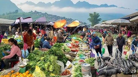 “Chợ phiên Mường Khương Lào Cai , Bán Toàn Đồ Lạ  Phiên Chợ Giọng Lớn Nhất Tây Bắc/ dân vùng cao ,