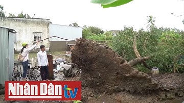 Cà Mau thiệt hại do ảnh hưởng bão số 2