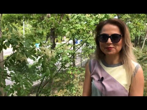 Video: Ginkgo Kəsmə Yayılması – Ginkgo Ağacından Kökləmə Şlamları