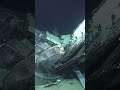 Titan Debris Field Revealed in Deep Sea Photos #Shorts