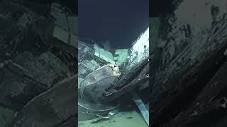 Titan Debris Field Revealed in Deep Sea Photos #Shorts