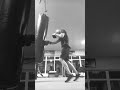 ЛЮБИТЕЛЬСКАЯ ТРЕНИРОВКА #metal #music #rock #boxing #motivation