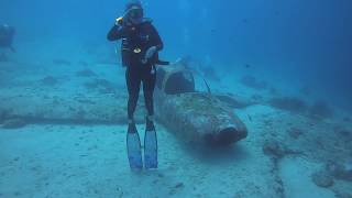 菲律賓宿霧CEBU墨寶Moalboal水肺潛水Scuba Diving白鰭鯊 ...