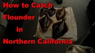 Flounder fishing Northern California