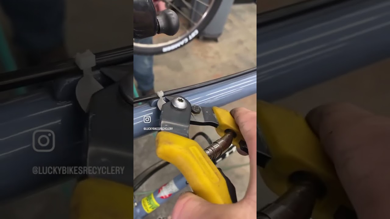 Lucky Bikes - Bianchi refresh