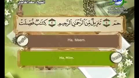 سورة فصلت ٤١ سعد الغامدي