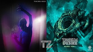 Punching Holes VS Unleashed - Delta Heavy VS Tantrum Desire [TZ Mashup]