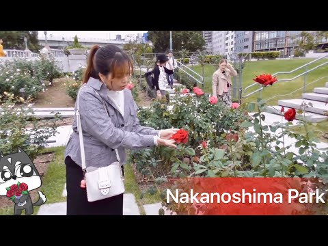 🌹Công viên hoa hồng Nakanoshima & nhà hàng view ven sông Riverside Grill&Beer Garden👍🏻