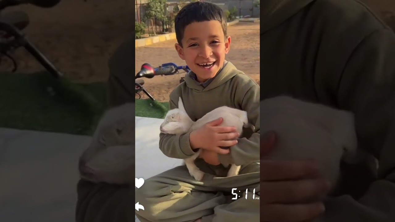 ذكر النعام كسر الشبوك ودمر الدنياء / سنابات ابو ناصر