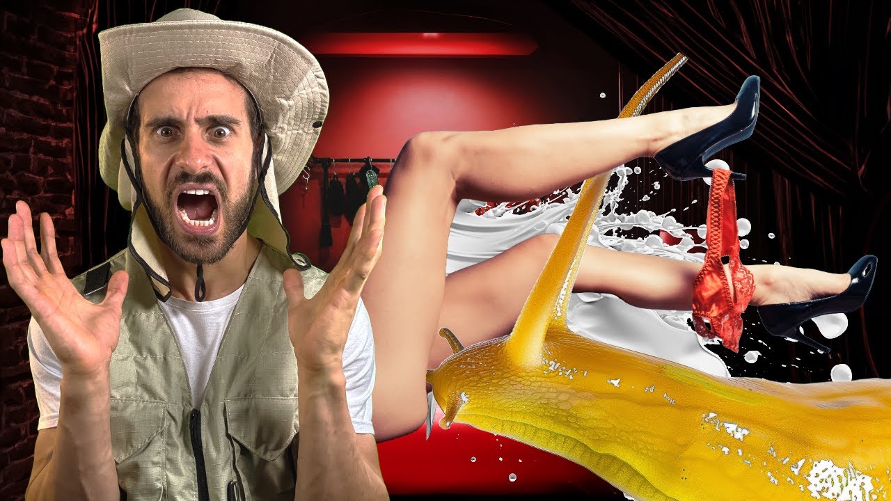 Top 5 acasalamentos mais bizarros do mundo!