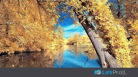 What we do at LifePixel - Infrared Camera Conversions