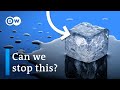 Understanding Sea Level Rise and Ice Sheet Instability