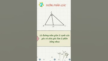 Phân biệt đường trung tuyến, đường trung trực, đường cao, đường phân giác trong tam giác