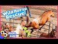 Horse Jumps Over Fence To Escape With His Family | Rescued! | Dodo Kids