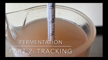 Fermentation Part 2: Tracking
