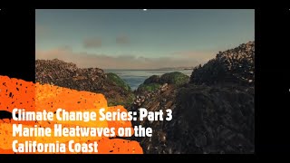 Climate Change Part 3: Marine Heatwaves on the California Coast