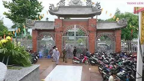 28 lương y vỏ hoàng yên chửa bệnh câm điếc   YouTube