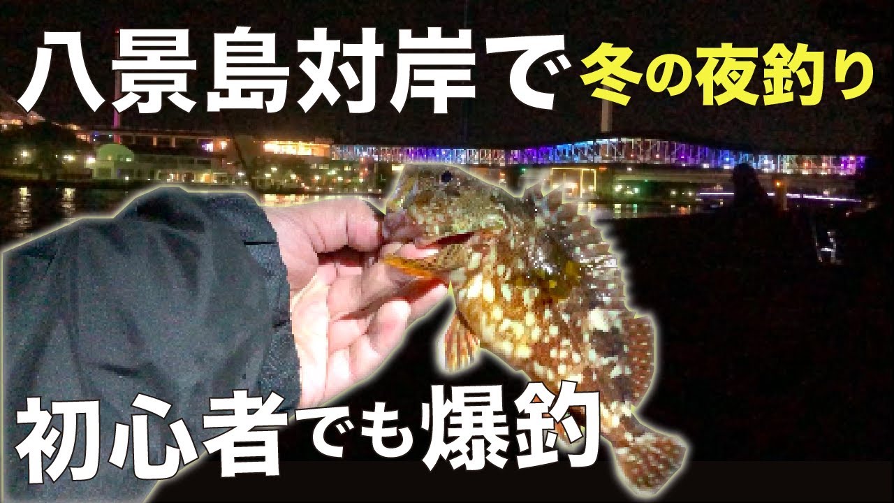 神奈川県釣り 八景島対岸で冬のロックフィッシュを初めて釣る 初心者でも満潮で 夜 しかも下げ潮なら釣れる ポンコツくん史上最大級の爆釣回 本当に成長が著しい 食いっぷりが半端ない Youtube
