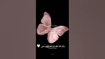 أدعية مستجابة حمزة بوديب الداعية إلىالله 