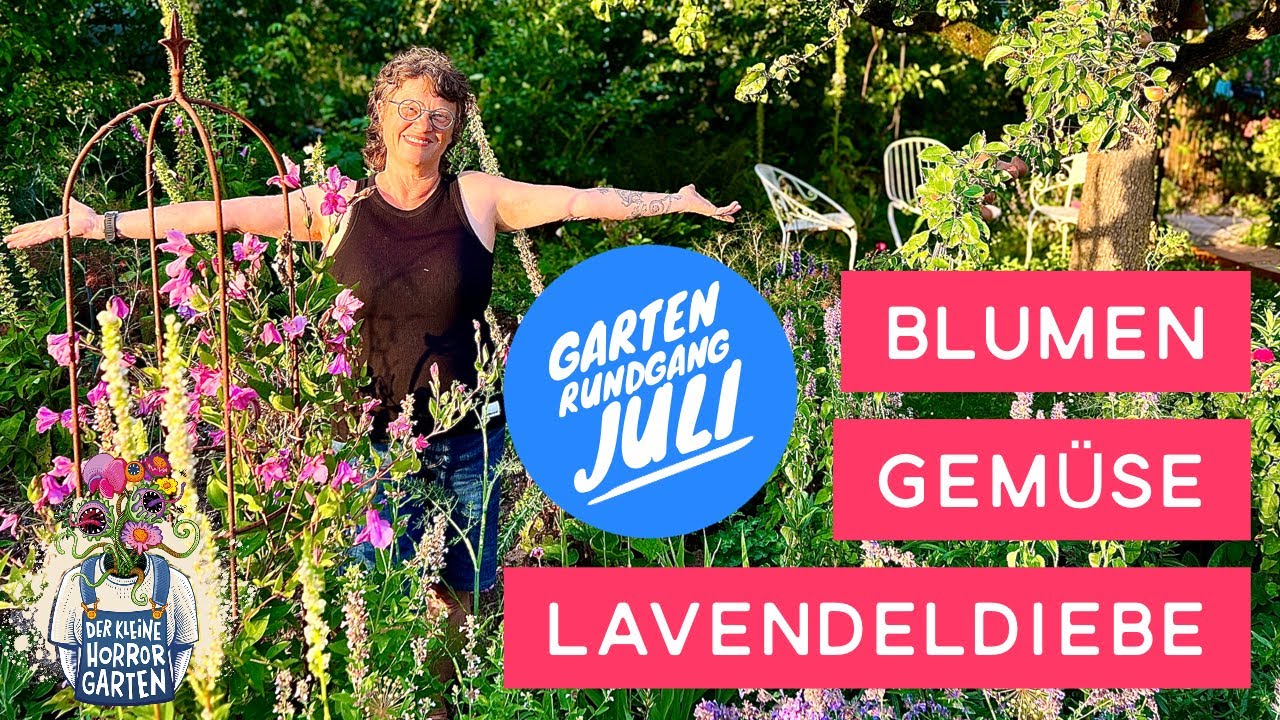 Juli Garten Rundgang: das Geheimnis meines üppigen Sommer Gartens