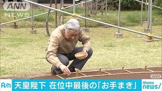 天皇陛下恒例の稲作　種まきが在位中最後の作業(19/04/11)