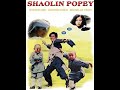 Shaolin Popey 笑林小子