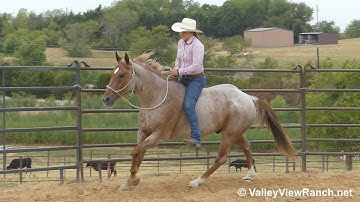 Red Bonnet Twist***For info, price, etc., go to our website: ValleyViewRanch.net***