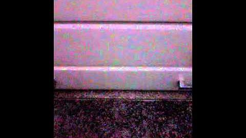 الشيخ لقمان الجزائري(سورة القيامة)