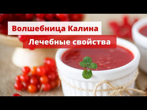 Полезные свойства калины. Применение и лечение. Калина красная.