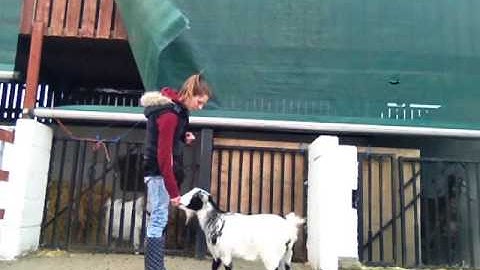 05.03.2015 Jasmine - 