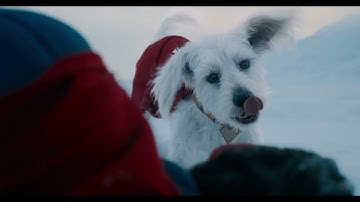 ジェームズ・ガン監督、完全なる新作『スーパーマン』実写映画で初登場！相棒のスーパードッグ＝クリプトがキュートに大活躍!?本編映像【2025年7月11日公開】