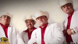 Video thumbnail of "ME VAS A LLORAR---- CARDENALES DE SINALOA"